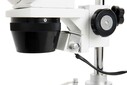 Celestron Labs S10-60 Stereo Mikroskop - Thumbnail