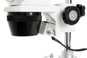 ​Celestron 44208 LABS S10-60 Stereo Mikroskop - Thumbnail