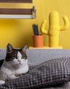 Kayigo Lavender Kalemlik & Notluk - Sarı Kaktüs - Thumbnail