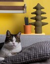 Kayigo Lavender Kalemlik & Notluk - Yeşil Çam - Thumbnail