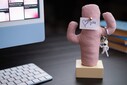 Kayigo Woody Krem Üçlü Ofis Seti - Pembe Cactus - Thumbnail