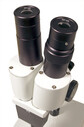 Levenhuk 2ST Mikroskop - Thumbnail