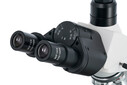 Levenhuk 900T Trinoküler Mikroskop - Thumbnail