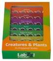 Levenhuk LabZZ CP24 Canlılar ve Bitkiler Hazırlanmış Slayt Seti - Thumbnail
