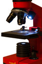Levenhuk Raınbow 2L Orange/Portakal Mikroskop - Thumbnail