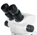 Levenhuk ZOOM 1B Binoküler Mikroskop - Thumbnail