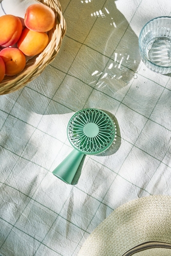 Lexon Wino Taşınabilir Fan Mint LL134M1