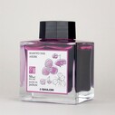 SAILOR - MANYO INK 50 ML - AKEBI