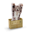 Mustard - Mustard Cat in a Box (1)