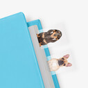 Mustard - Mustard Dog in a Book