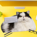 Mustard - Mustard Fat Cat Mousepad (1)