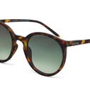 Okkia - Okkia Berlino Unisex Güneş Gözlüğü Havana / Lens : Kahverengi Gradyan OK045-CH (1)