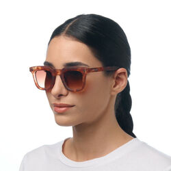 Okkia - Okkia Firenze Unisex Güneş Gözlüğü Sahara Havana / Lens: Kahverengi Gradyan OK068SH-BR (1)