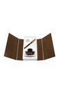 Pelikan Classic Series M200 Smoky Quartz Clear Fountain Pen Ink Set - Thumbnail