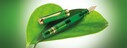 Pelikan M800 Demonstrator Green Fountain Pen - Thumbnail