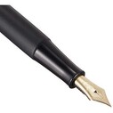 Platinum 3776 Higo-Zogan Fountain Pen Sakura Cherry Blossom - Thumbnail