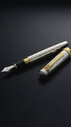 PLATINUM - Platinum Hammered Sterling Silver PP-100000M-9 Migaki Fountain Pen (1)