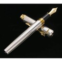 Platinum Özel Seri PTS 50000 Pin Stripe Silver Dolma Kalem M - Thumbnail