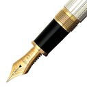 Platinum Özel Seri PTS 50000 Pin Stripe Silver Dolma Kalem M - Thumbnail