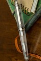 Platinum PNB 20000R #3776 Century Nice Pur Demonstrator Dolma Kalem - Thumbnail