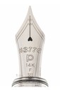 Platinum PNB 20000R #3776 Century Nice Pur Demonstrator Dolma Kalem - Thumbnail