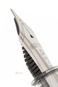 Platinum PNB 20000R #3776 Century Nice Pur Demonstrator Dolma Kalem - Thumbnail