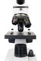 Levenhuk Raınbow 2L PLUS Moonstone/Aytaşı Mikroskop (TR) - Thumbnail