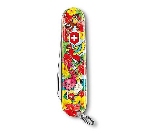 ​Victorinox 0.2373.E3 My First Victorinox Papağan Desenli Çakı ve Boyama Kitabı - 4